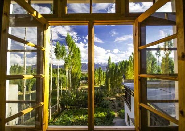 Cost of Wood Window Replacement in Edmonds